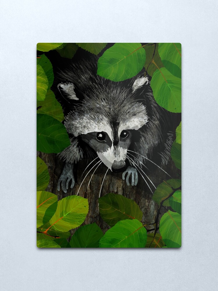 Alternate view of Raccoon Metal Print