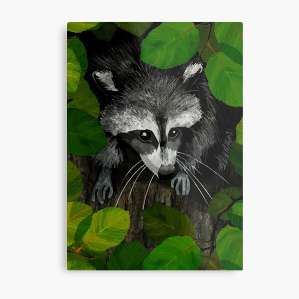 Item preview, Raccoon designed and sold by katherineblower.