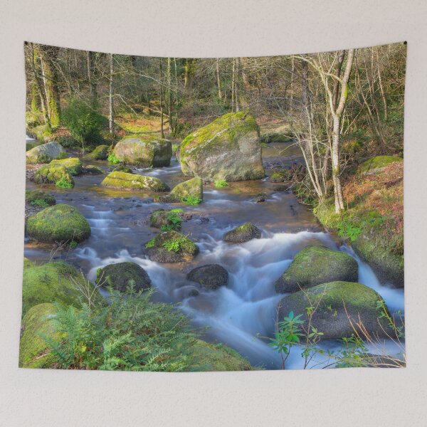 Item preview, Becky Falls, Dartmoor. designed and sold by Dave Hare Photography.