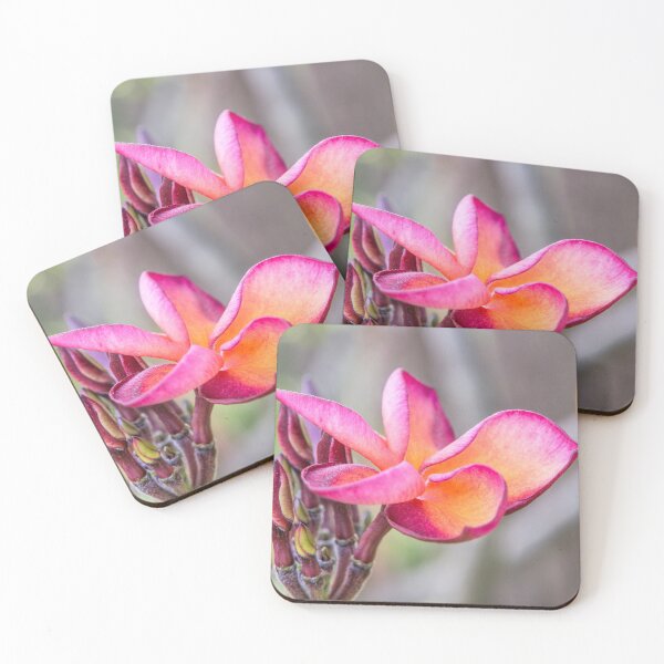 Item preview, Siem Reap Flora designed and sold by Dave Hare Photography.