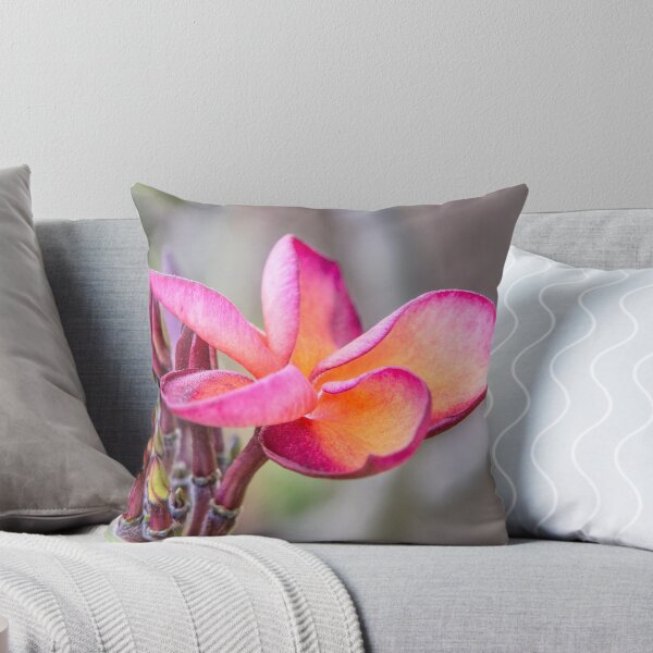 Artikelvorschau, Siem Reap Flora entworfen und verkauft von Dave Hare Photography.