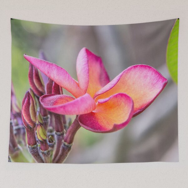Item preview, Siem Reap Flora designed and sold by Dave Hare Photography.