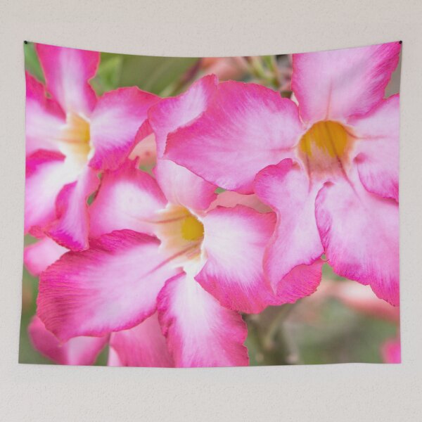 Item preview, Mekong Delta Flora designed and sold by Dave Hare Photography.