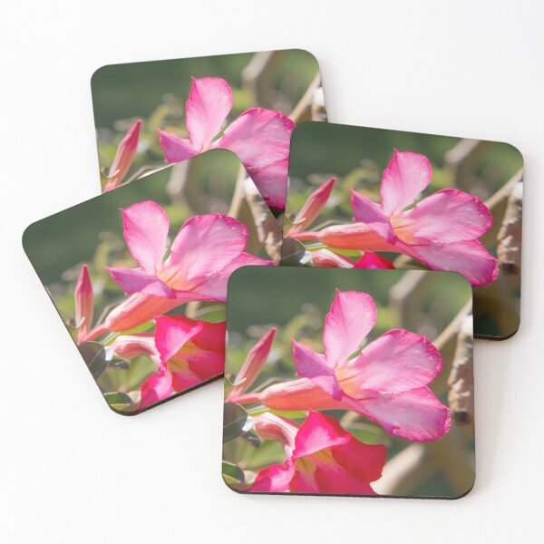 Item preview, Saigon Flora designed and sold by Dave Hare Photography.