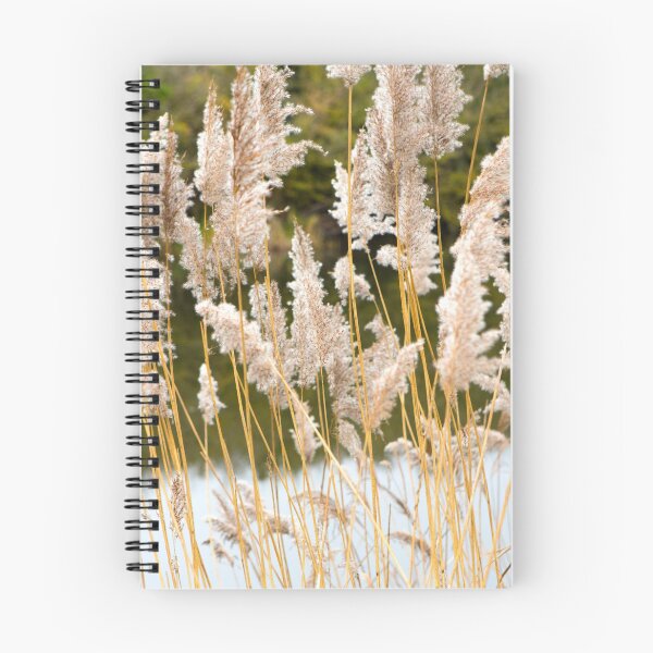 Item preview, Canal side grass designed and sold by Dave Hare Photography.