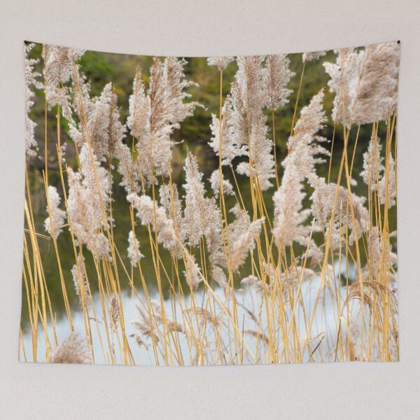 Item preview, Canal side grass designed and sold by Dave Hare Photography.