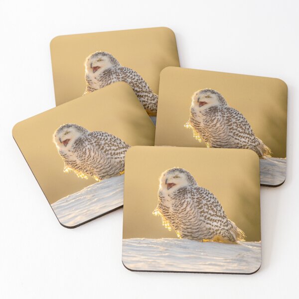 Item preview, Snowy Owl designed and sold by Dave Hare Photography.