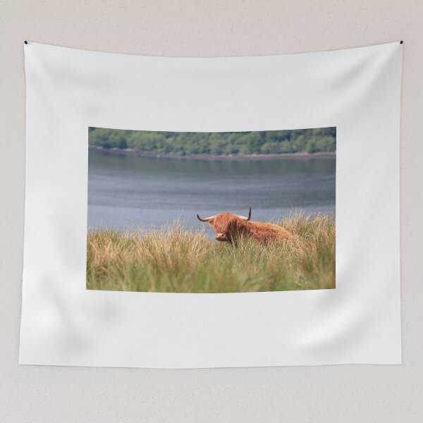 Item preview, Highland Cow resting in the grass above Loch Fyne designed and sold by Maria Gaellman.