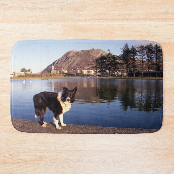 Item preview, Indy at the boating pond designed and sold by Michael Haslam.