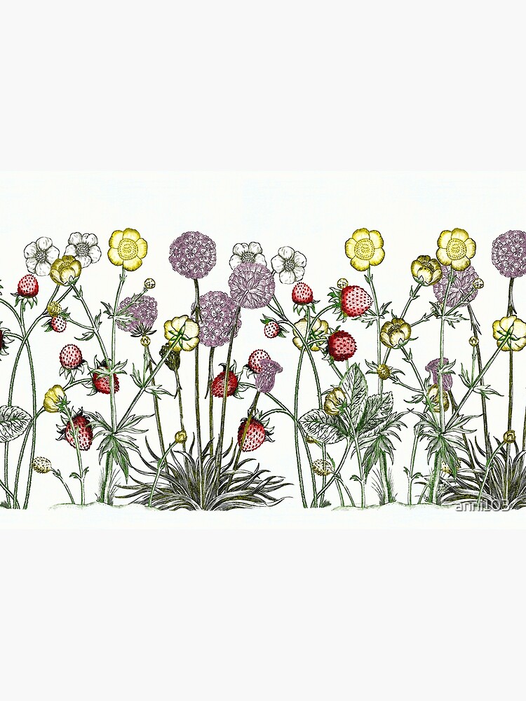 Medley of garden flowers by anni103