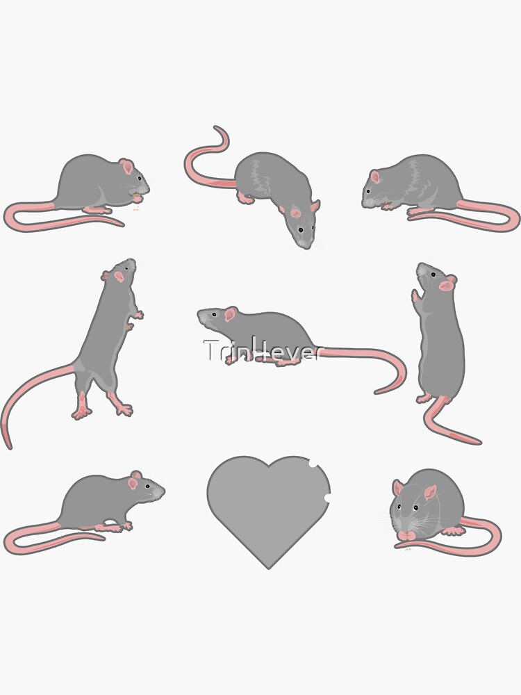 Gray rats in square by Trin4ever