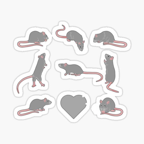Gray rats in square Sticker