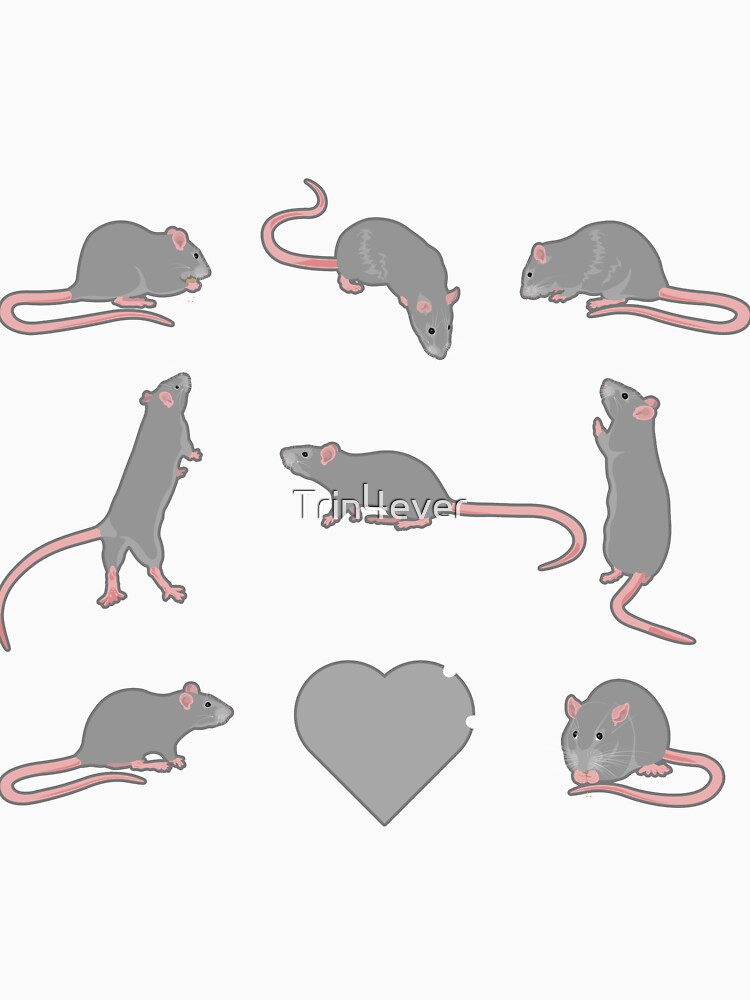 Gray rats in square by Trin4ever