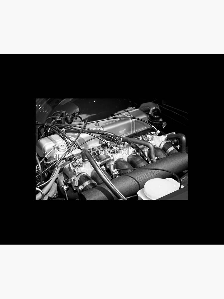 Classic Triumph TR6 Engine by robcole