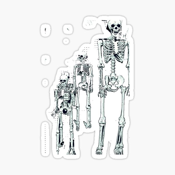 Item preview, 3 skeletons bywhacky designed and sold by designbywhacky.