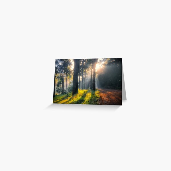 Pemberton Forest Greeting Card