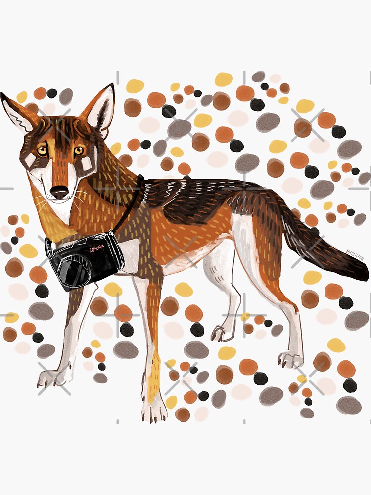 "Photographer Red Wolf " Sticker for Sale by belettelepink Redbubble