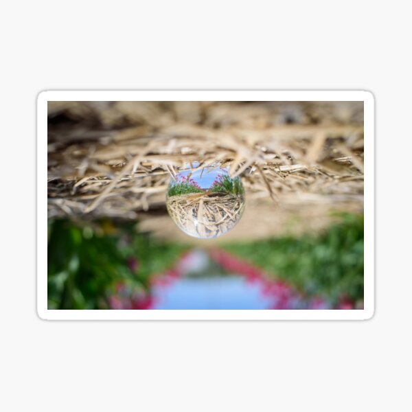 Item preview, Tulips in a Crystal Ball designed and sold by RezieMart.