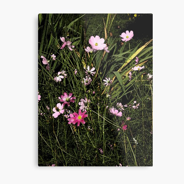 Wild Flowers Metal Print