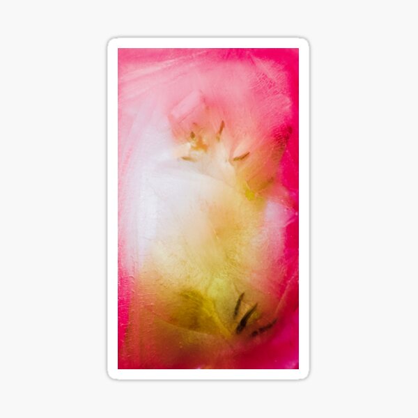 Frozen Flowers #05 Sticker