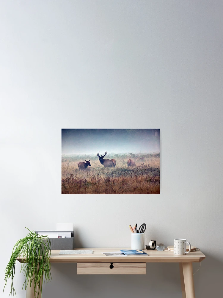 Thumbnail 2 of 3, Poster, Misty Morning designed and sold by Randall Ingalls.