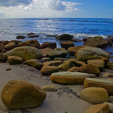Artwork thumbnail, Coarse Sand by Randall Ingalls