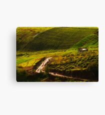 Walking to work Canvas Print
