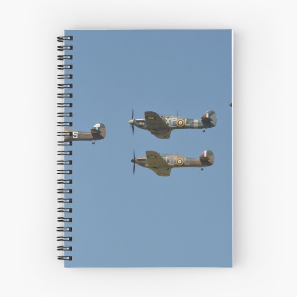 Item preview, Hurricanes X4 designed and sold by Andy Jordan.