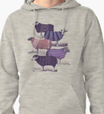 Cool Sweaters Pullover Hoodie
