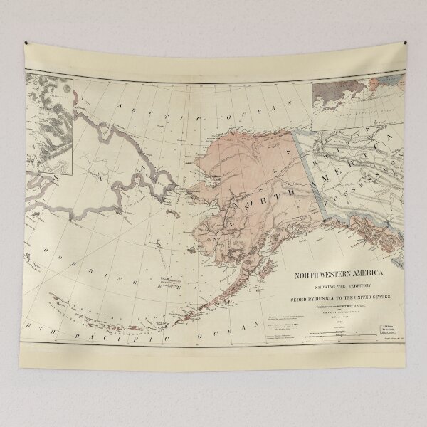 Aperçu de l'œuvre Carte de l'Amérique du Nord-Ouest, de l'Alaska (1867) créée et vendue par allhistory.