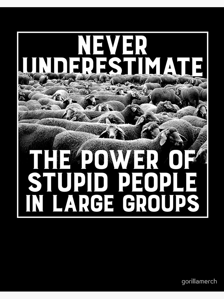 Never Underestimate the Power of Stupid People In Large Groups