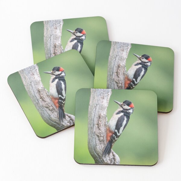 Item preview, Great Spotted Woodpecker #1 designed and sold by Dominika Aniola.