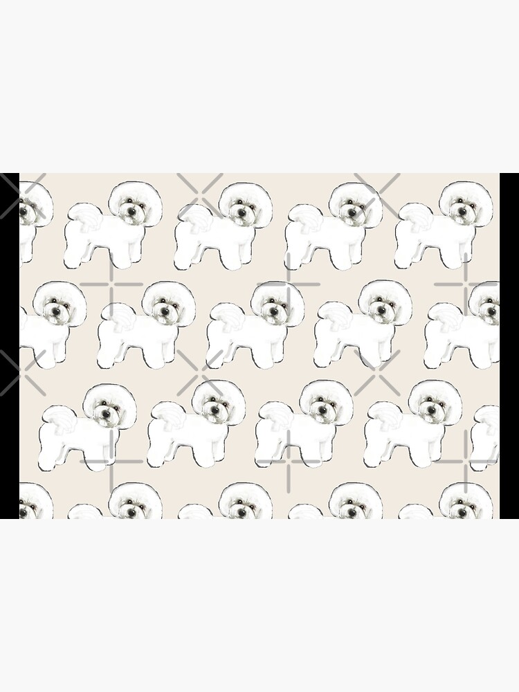 Bichon Frise on Cream by MagentaRose