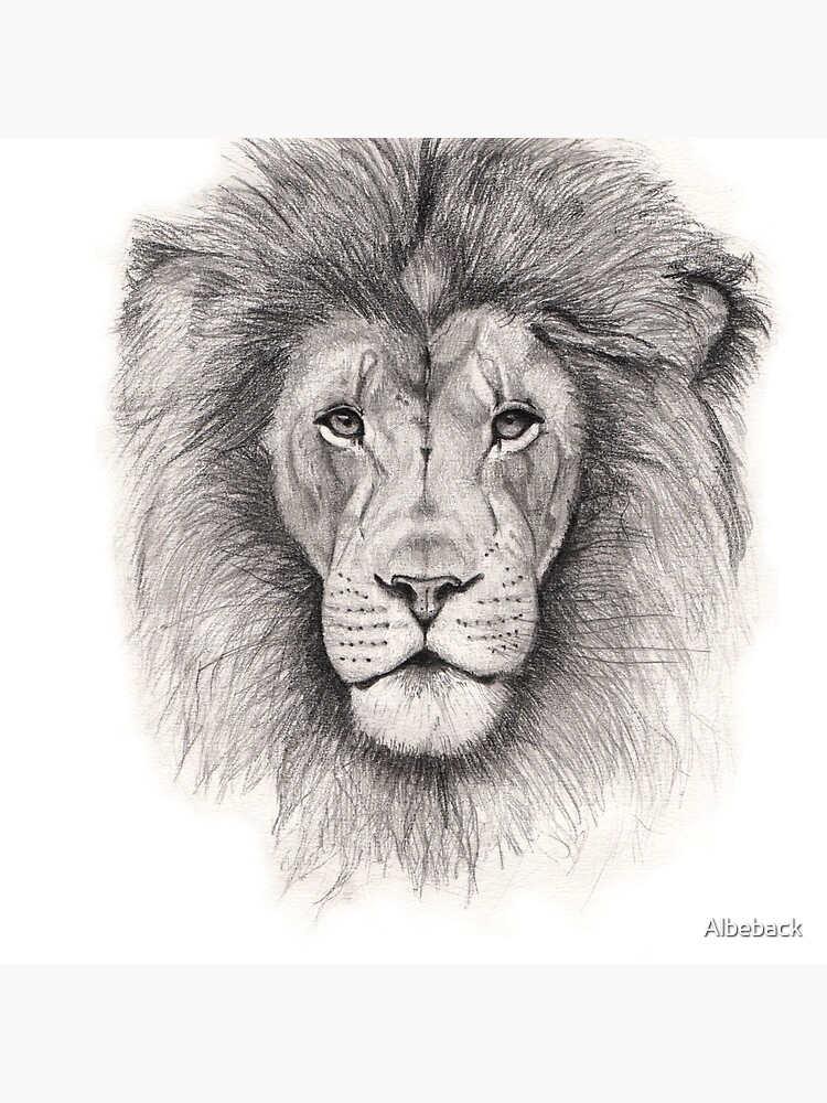 "Lion head drawing" Acrylic Block by Albeback | Redbubble
