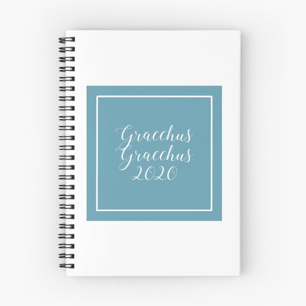 Artikelvorschau, Gracchus Gracchus 2020 - Tiberius und Gaius Gracchus 2020 entworfen und verkauft von clanman.