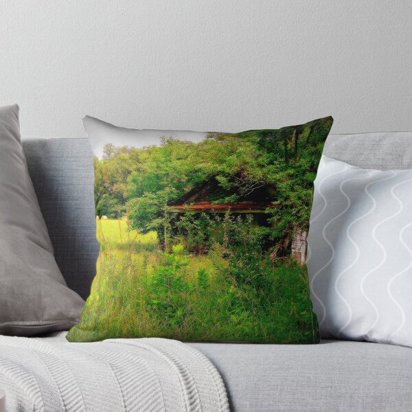 Item preview, Hidden Home  designed and sold by Paul Lubaczewski.