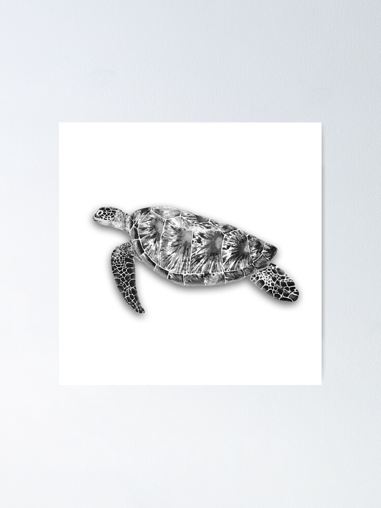 "Black and White Sea Turtle" Poster for Sale by justart Redbubble