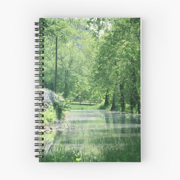 Item preview, Canal Full Glory designed and sold by goldnzrule.