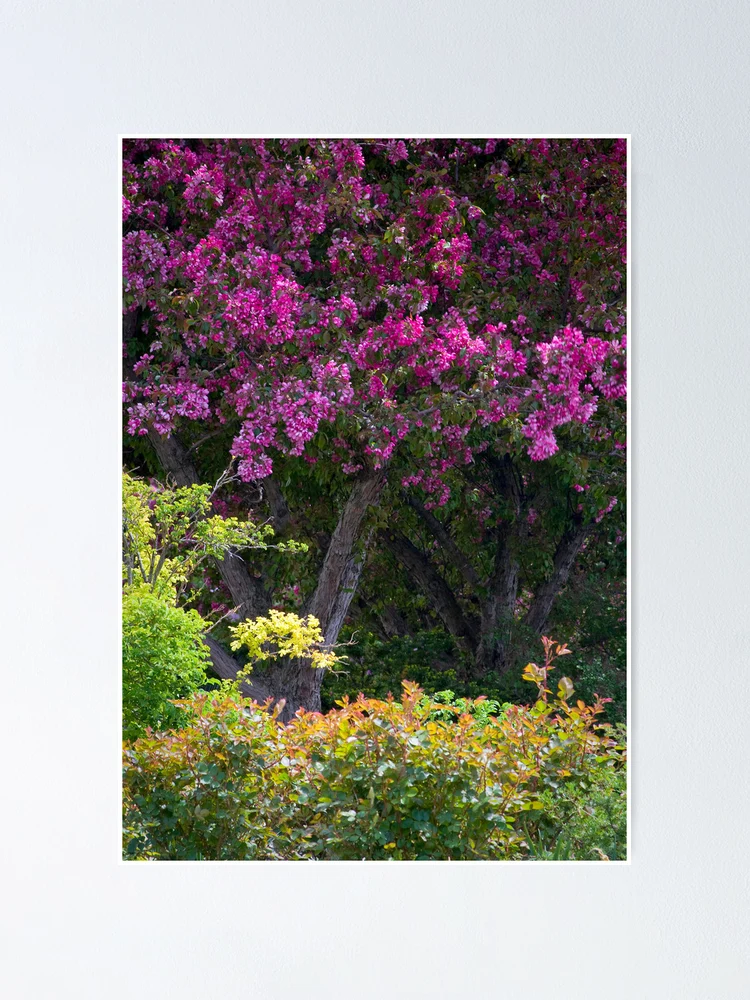 Thumbnail 1 of 3, Poster, Spring designed and sold by olga zamora.