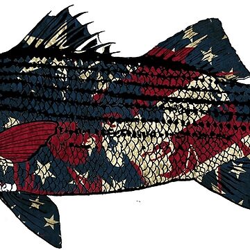 Striped bass American Fishing Art Print for Sale by hookink