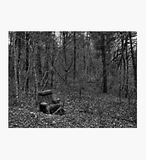 Wooded Comfort Photographic Print