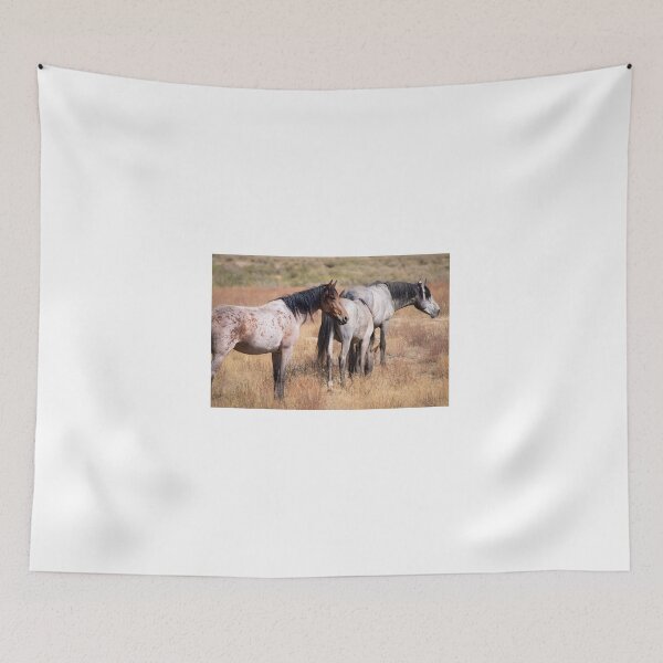 Item preview, Beautiful wild horses in the west deserts of Utah designed and sold by Sillygirl101.