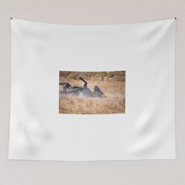 Item preview, Beautiful wild horse in the west deserts of Utah designed and sold by Sillygirl101.