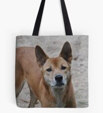 Dingo Tote Bag