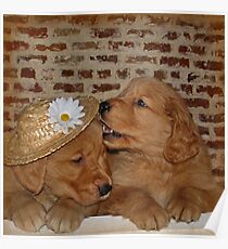 Goofy Goldens Poster