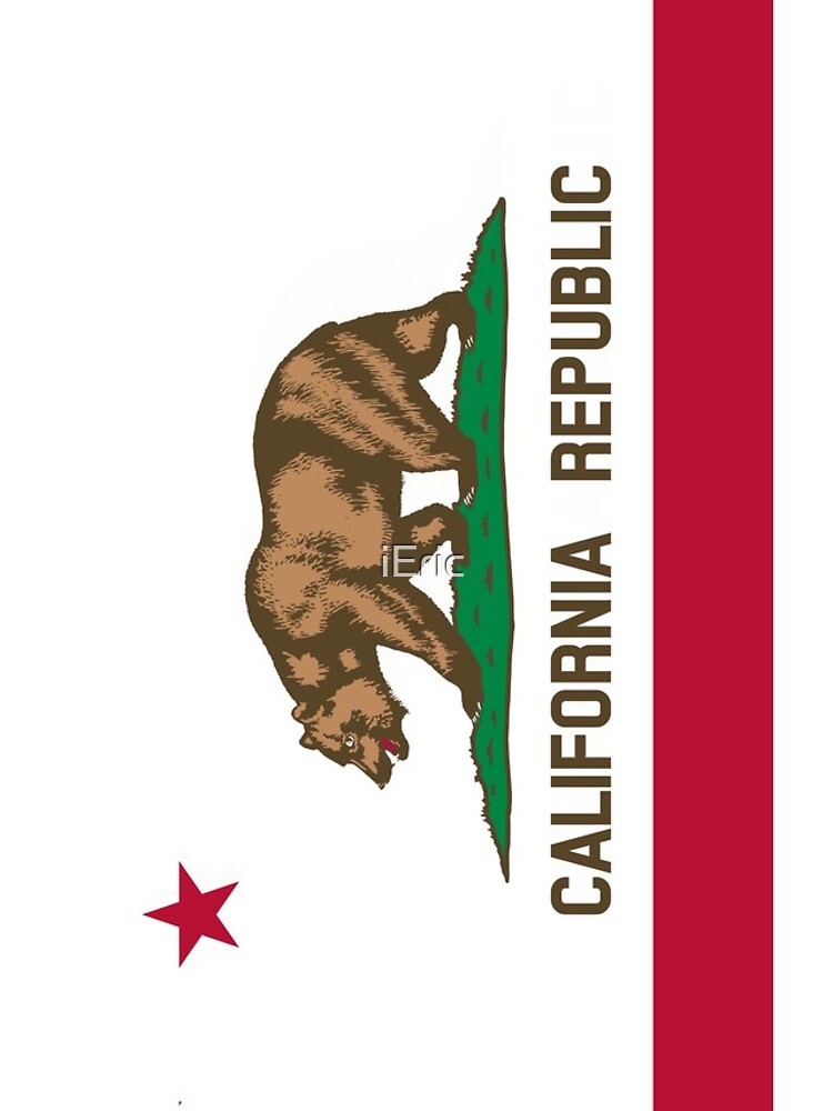 Patriotic Flag of California Republic