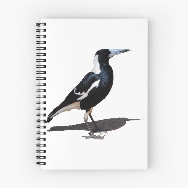 Item preview, A Black and White Bird with Hooked Beak designed and sold by STHogan.