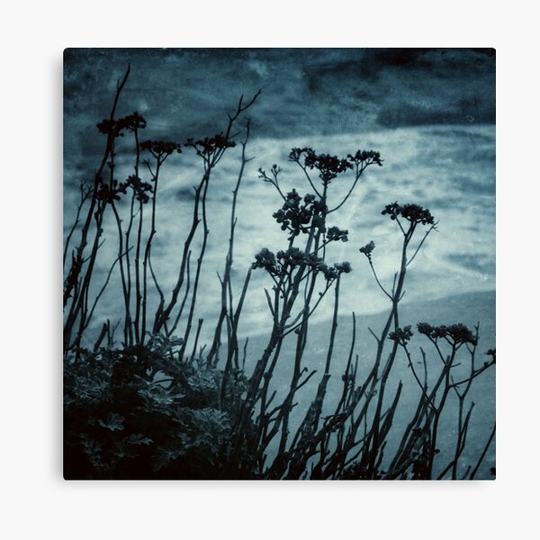 Midnight Dreams of the Sea Canvas Print