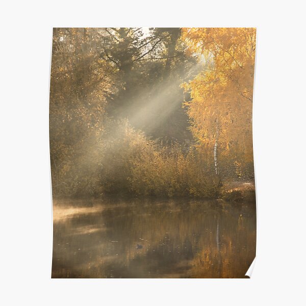 Daylesford Rays Poster