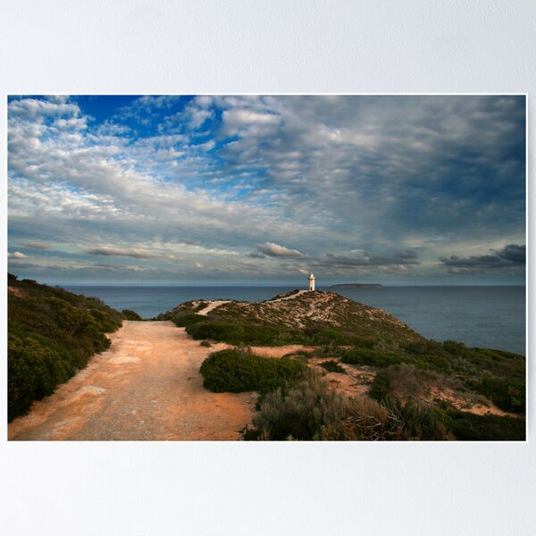 Cape Spencer Lighthouse Poster